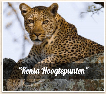 avtours - Safari Kenia